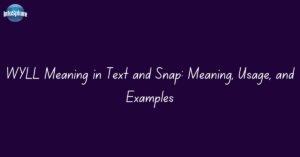 WYLL Meaning in Text and Snap: Meaning, Usage, and Examples