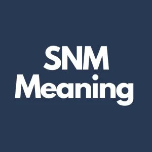 SNM Meaning in Text