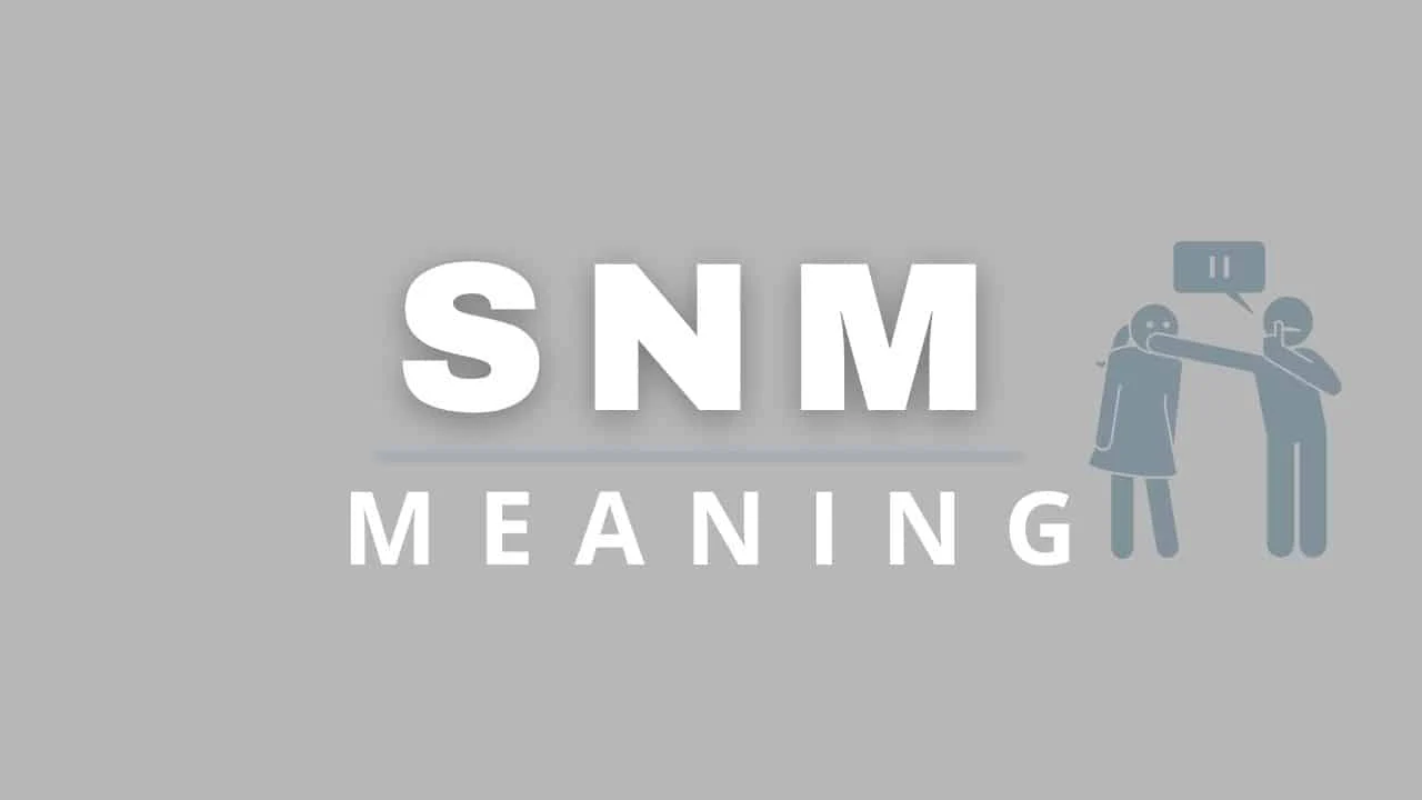 SNM Meaning in Text