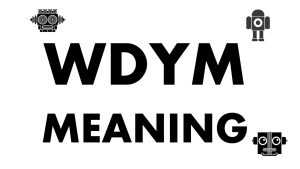 WDYM Meaning in Text