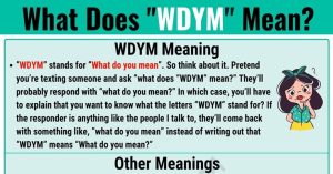 WDYM Meaning in Text