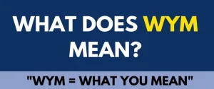 WYM Meaning in Text