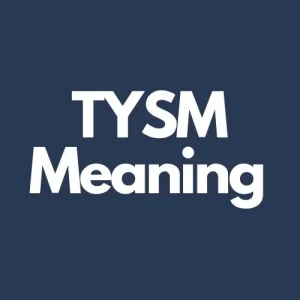 TYSM Meaning in Text