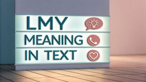 LMY Meaning in Text