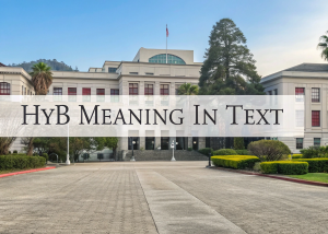 Hyb Meaning in Text